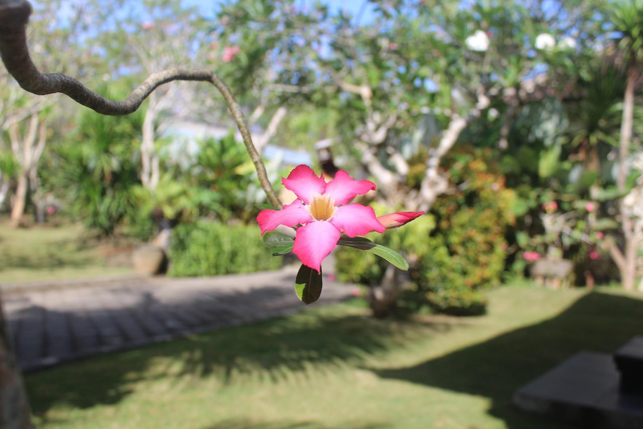 El Homestay Bali Nusa Dua  Eksteriør billede